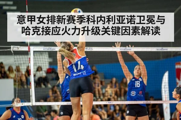 意甲女排新赛季科内利亚诺卫冕与哈克接应火力升级关键因素解读